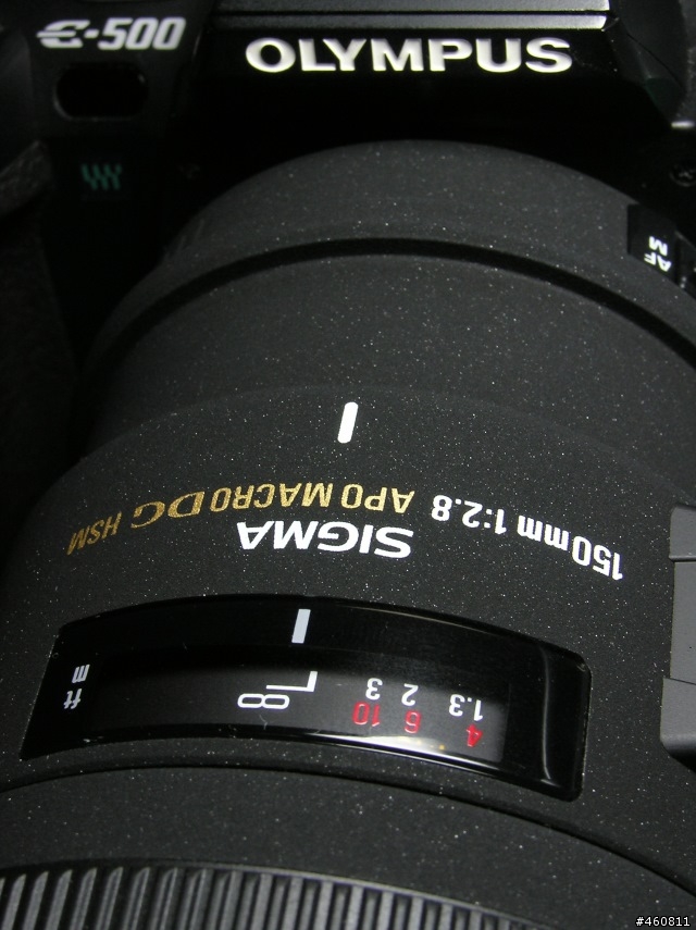 [分享 ]olympus的生態攝影