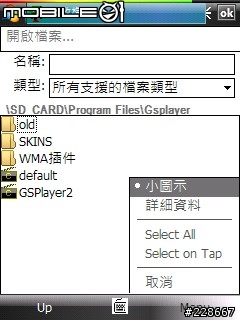 [97/06/26 更新] Gsplayer 2.29 正體中文化語言檔(06/27修正gsgetfile 正體中文化檔)