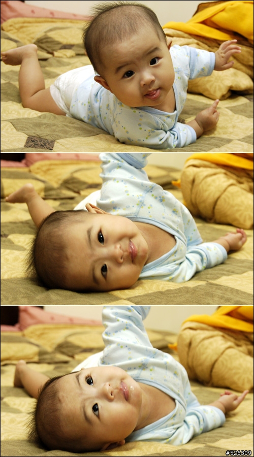 豬50+17-70mm+sb-400之不太可能的任務-拍婚禮