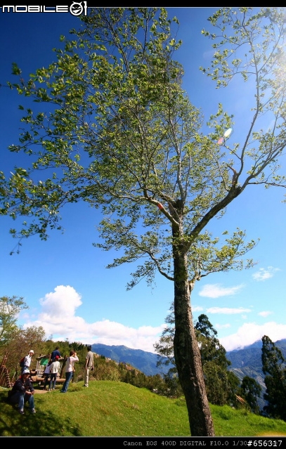 [圖超多]清境農場(青青草原)+民宿旅遊記
