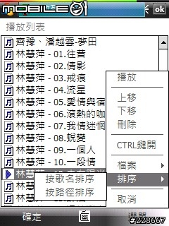 [97/06/26 更新] Gsplayer 2.29 正體中文化語言檔(06/27修正gsgetfile 正體中文化檔)