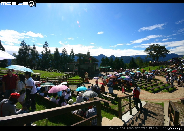 [圖超多]清境農場(青青草原)+民宿旅遊記