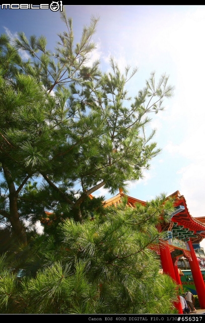 [圖超多]清境農場(青青草原)+民宿旅遊記