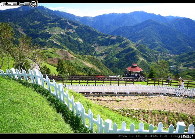 [圖超多]清境農場(青青草原)+民宿旅遊記