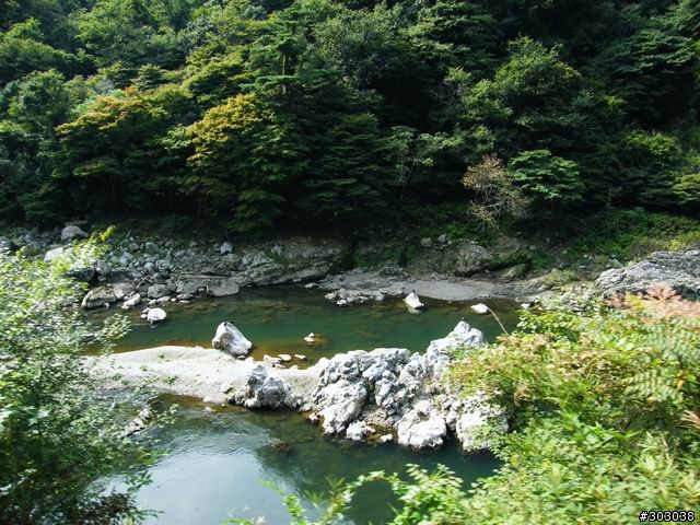 s8000fd 照片分享