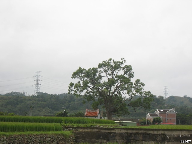 [分享] 不輸羅馬公路的南庄仙山景觀路線 - 摔車記