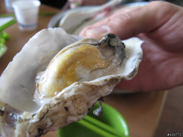 10月27日 關渡-八里左岸 活動專區