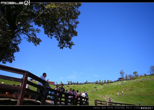 [圖超多]清境農場(青青草原)+民宿旅遊記