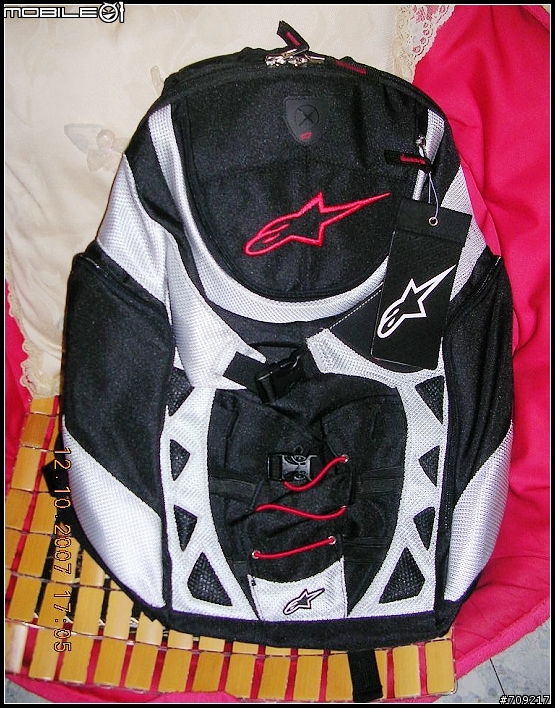 ALPINESTARS A星全罩式安全帽後背包 (銀白) 之 簡單分享第二彈 [ 蠍 ]