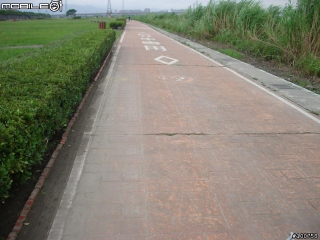 新海橋浮州橋 自行車道 路況報導!!(10/10)