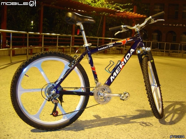 [[分享]]GIANT 2008 IGUANA[AS-860] 黃黑V煞版