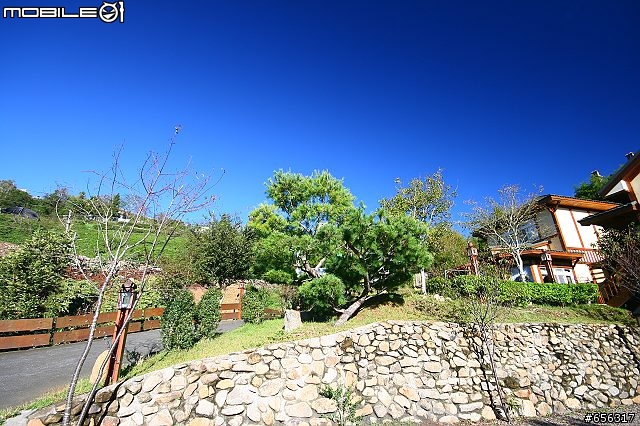 [圖超多]清境農場(青青草原)+民宿旅遊記