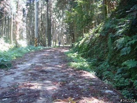～補課～ 羅山林道之媽我回來了