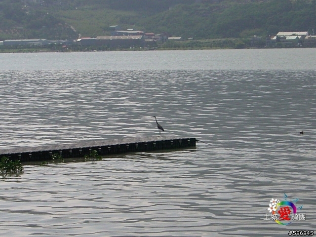 10月27日 關渡-八里左岸 活動專區