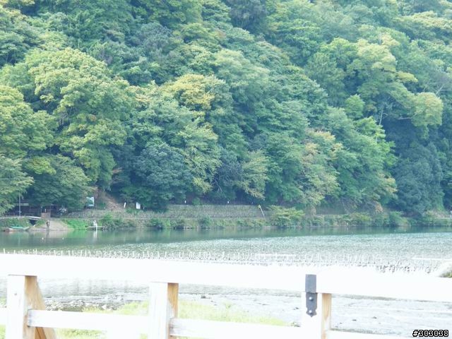 s8000fd 照片分享