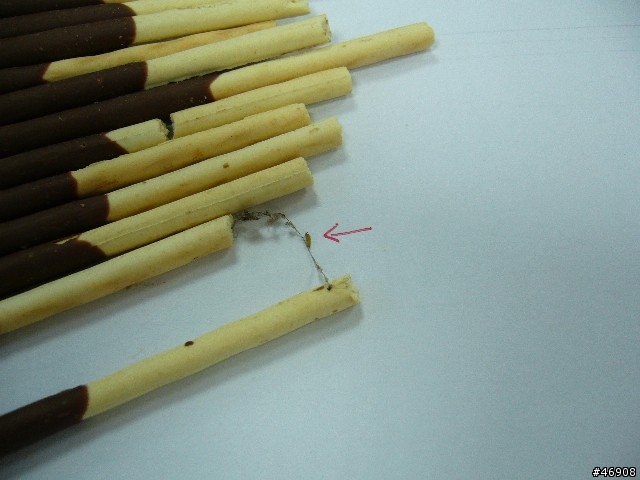 [分享] stick巧克力棒