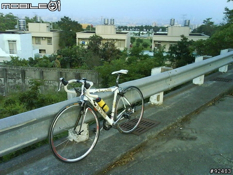 [分享] 白色的魅力 Cinelli Aliante