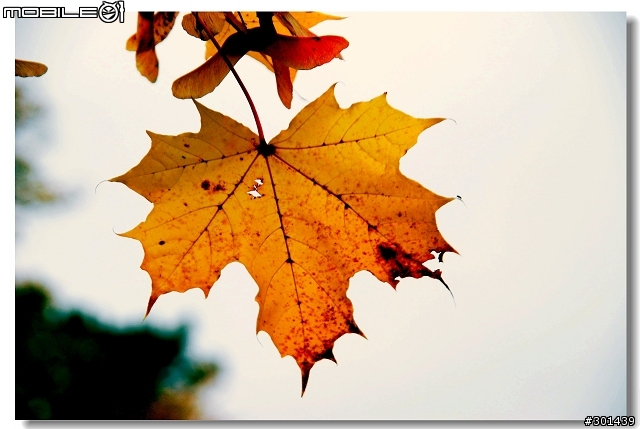 漫步10月捷克布拉格