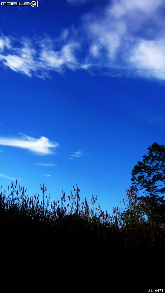 真的是FX01拍的~真是經典的銘機