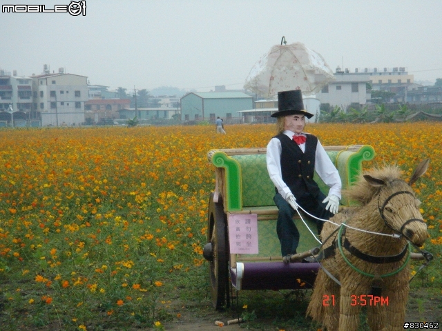 大寮花海.鄰近景點.路線分享