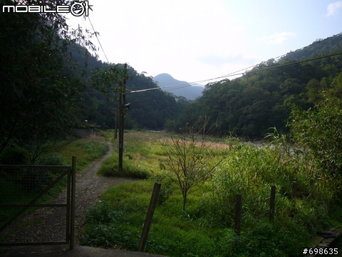 在西坑林道渡過一個悠閒的午後