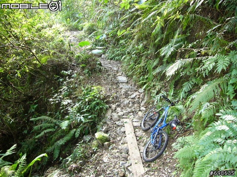 在西坑林道渡過一個悠閒的午後