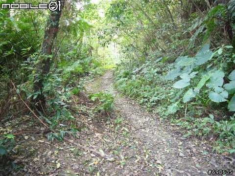 在西坑林道渡過一個悠閒的午後