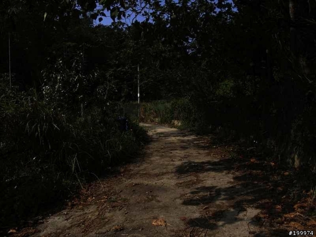[心得]-路線分享-八卦山-楊桃崎