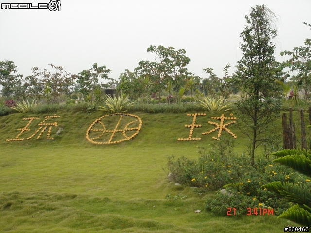 大寮花海.鄰近景點.路線分享