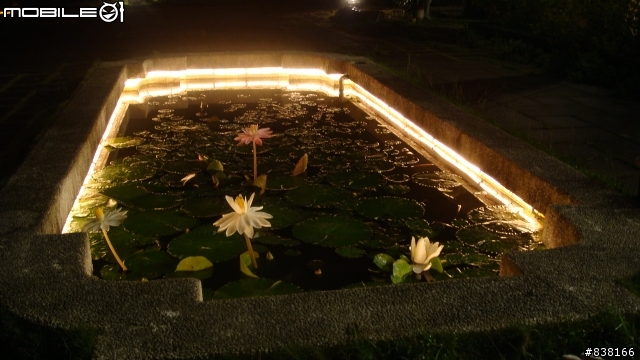 [分享]T200的夜拍...