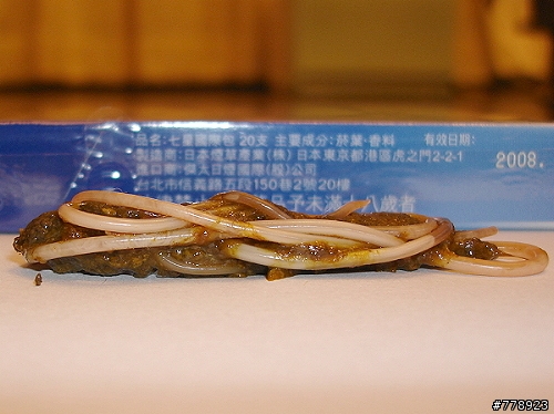 恐怖 + 噁心 → 膽小勿近！女友的馬爾濟斯驅蟲後的排便照片！