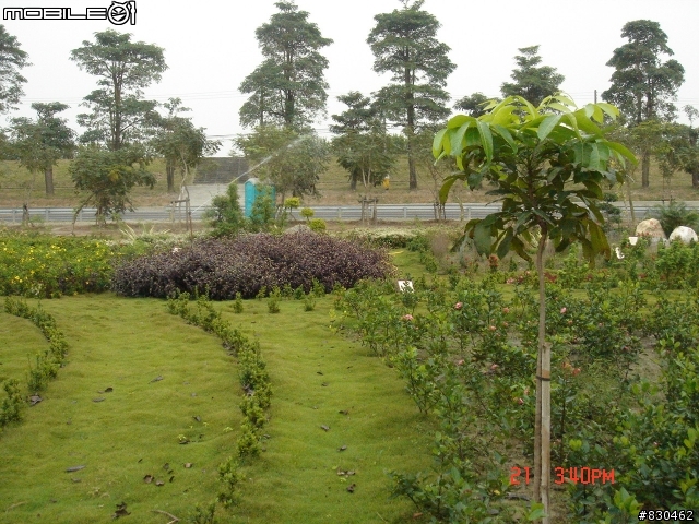 大寮花海.鄰近景點.路線分享