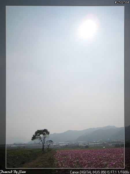 11/17新社花海&古堡莊園