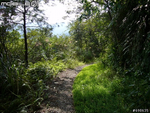在西坑林道渡過一個悠閒的午後