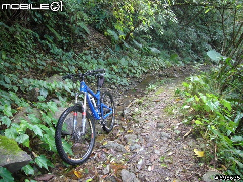 在西坑林道渡過一個悠閒的午後