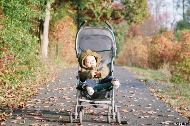 [分享與討論] Leica 的散景