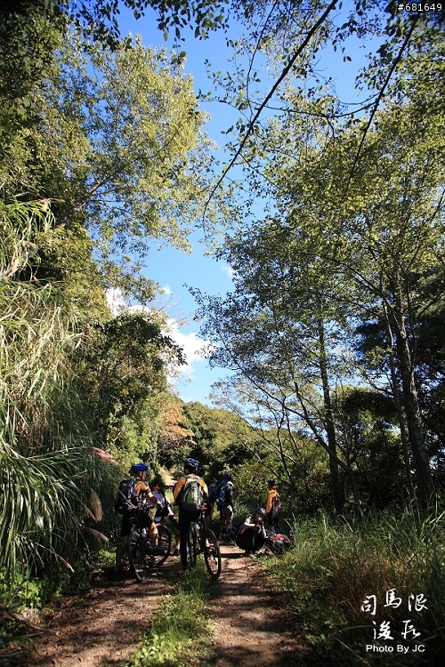 司馬限林道後段