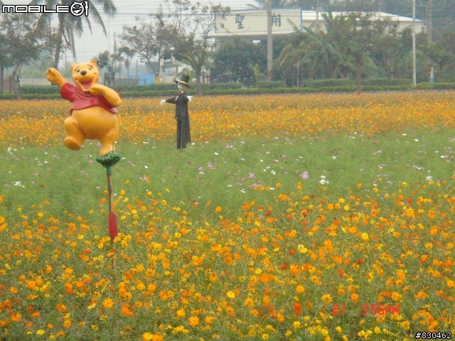 大寮花海.鄰近景點.路線分享