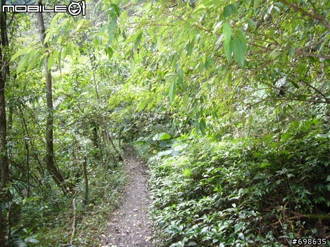 在西坑林道渡過一個悠閒的午後