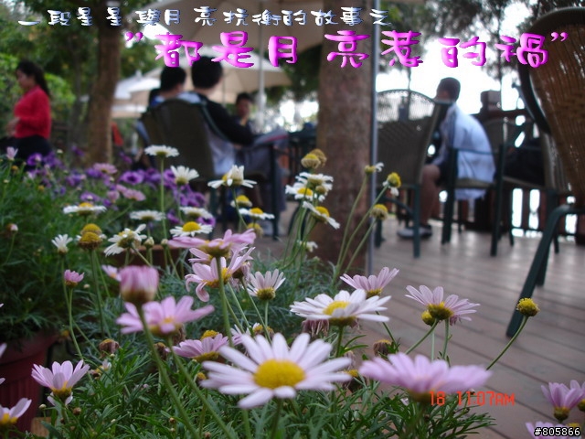 [心得]2007/11/18- 月光森林挑戰大紀實..附圖片