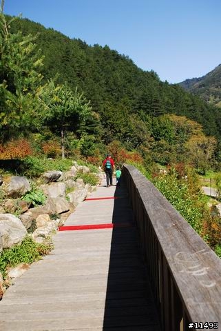 [ 秋 ] 福壽山之旅