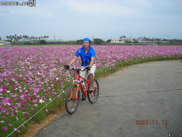 台中太原車站至新社花海之遊36km
