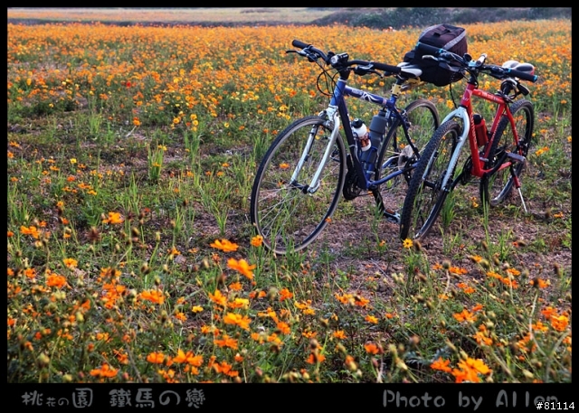 龍潭自行車道～浪漫遊(圖多)