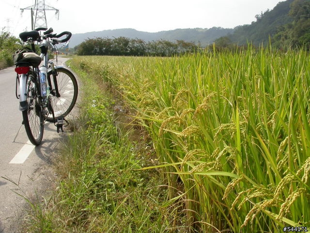 【永福in幫幫歷史活動照片區】更新日 08/13