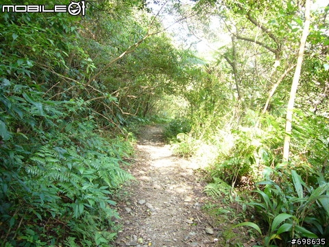 在西坑林道渡過一個悠閒的午後