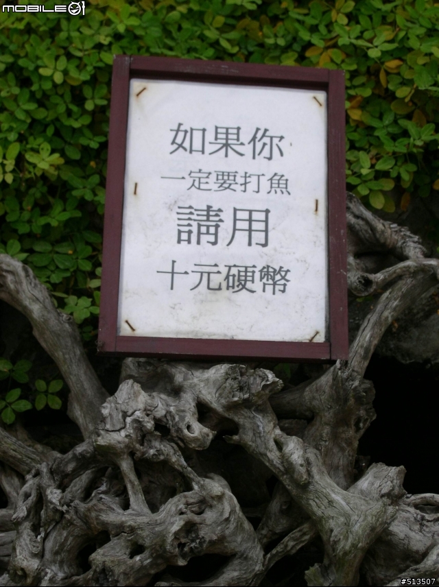 不用到新社,高雄也有賞花的好去處~三隆社區