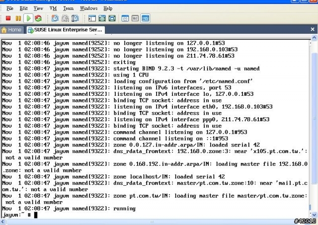 LINUX 的 DNS 設定