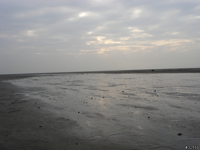 [試拍]Sony DSC-T2 VS Sony DSC-W1