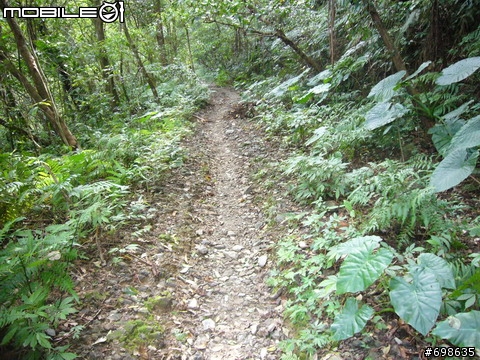 在西坑林道渡過一個悠閒的午後