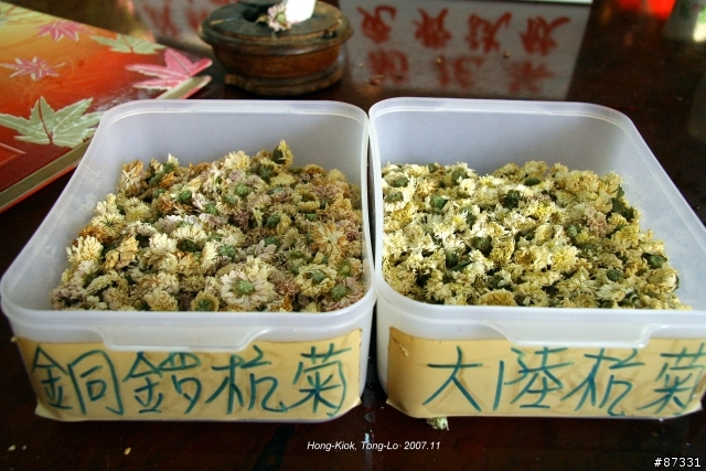 2007 Autumn 銅鑼‧杭菊